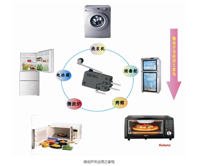 Micro switch appliance