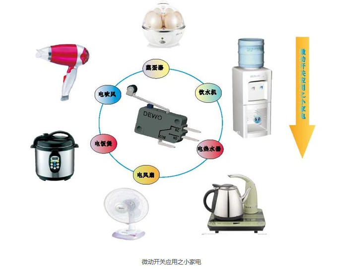 Application of micro switch for small household appliances